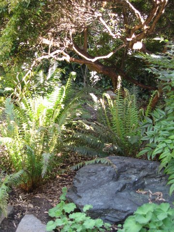 Gardens by Linda
